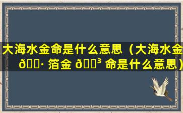 大海水金命是什么意思（大海水金 🌷 箔金 🐳 命是什么意思）